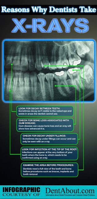 Dentist in Cooper City FL
